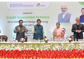 New Credit Guarantee Scheme (CGS)