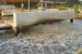 India’s Urban Wastewater Crisis and Solutions