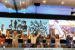 IPBES Nexus Report 2024