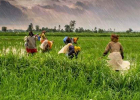 National Farmers’ Day Observed on December 23