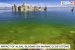 Impact of Algal Blooms on Marine Ecosystems