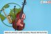 Indian Artists and Global Peace Initiatives