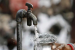 Punjab Achieves 100% Piped Water Supply
