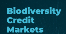 Biodiversity Credit Market