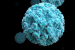 What is Norovirus?