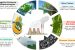 What contribution can Nanotechnology play in enhancing the Energy efficiency in India. Discuss highlighting associated challenges also towards the same.