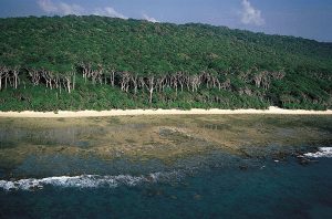 23 Blood-Sucking Flies Discovered in Andaman and Nicobar Islands