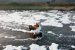 Ammonia Pollution in Yamuna