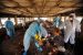 HPAI H5N1 Outbreak Affects Indian Wildlife