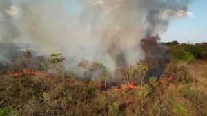 Brazil Faces Record Wildfires