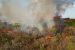 Brazil Faces Record Wildfires