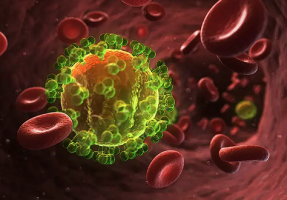 Cardiovascular Risk in HIV