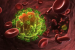 Cardiovascular Risk in HIV