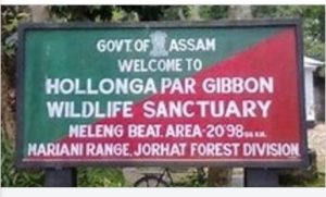 Controversial Drilling Approved in Hollongapar Gibbon Wildlife Sanctuary