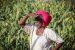 Delhi Land Reforms Act Controversy