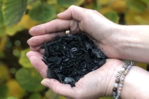 Fixing DDT-Contaminated Soil with Biochar