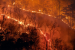 Forest Fires in India