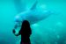 Gangetic Dolphin Conservation Efforts