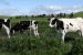 Govt Announces New Subsidy and Insurance Initiatives for Farmers
