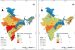 Groundwater Nitrate Contamination in India