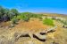 Gujarat Declares First Biodiversity Heritage Site