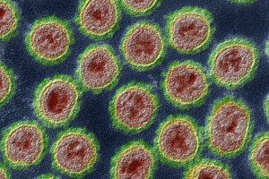 H5N1 Avian Influenza Mutations
