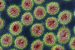 H5N1 Avian Influenza Mutations