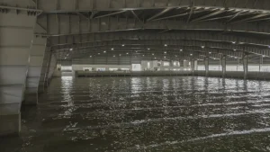 IIT Madras Inaugurates Asia’s Largest Shallow Wave Basin Research Facility