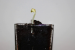 ISRO Successfully Germinates Black-eyed Pea Seeds in Space