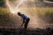 India Faces Water Storage Decline