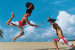 Kalaripayattu Controversy Ahead of 38th National Games