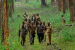 Kerala Forest Act Amendment Sparks Controversy