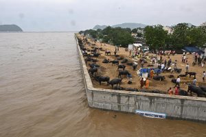 Krishna River Flood Protection
