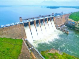 Madras HC Mandates Vaigai River Pollution Action Plan