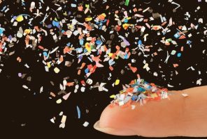 Microplastics Impact Brain Function and Blood Circulation