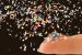 Microplastics Impact Brain Function and Blood Circulation