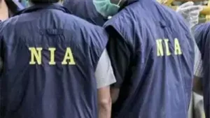 NIA Achieves Perfect Conviction Rate in 2024