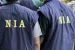 NIA Achieves Perfect Conviction Rate in 2024