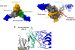 Nanobodies Role in Ebola Virus Treatment