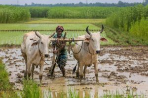 Mandatory Farmer ID Requirement for PM-Kisan Scheme