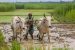 Mandatory Farmer ID Requirement for PM-Kisan Scheme