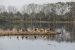Surajpur Wetland Conservation