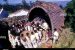 Toda Tribe Celebrates Modhweth Festival