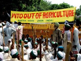 Why Indian Farmers Protest Against WTO?