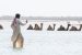 Water Surges in Rajasthan’s Desert Town