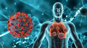 What is Human Metapneumovirus (HMPV)?