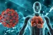 What is Human Metapneumovirus (HMPV)?
