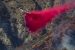 What is Pink Fire Retardant?