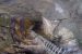 What is Rat-Hole Mining?