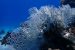 Coral Reefs’ Historical Resilience in Gulf of Eilat